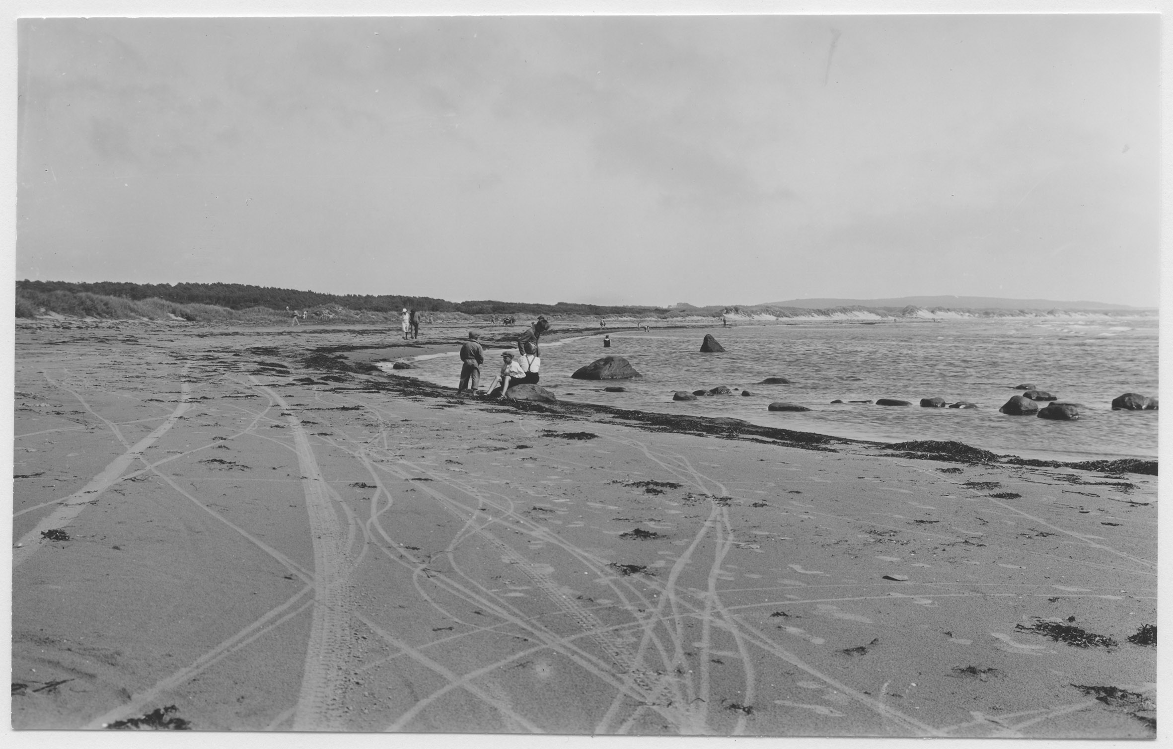 Mårten Sjöbeck, Särdal