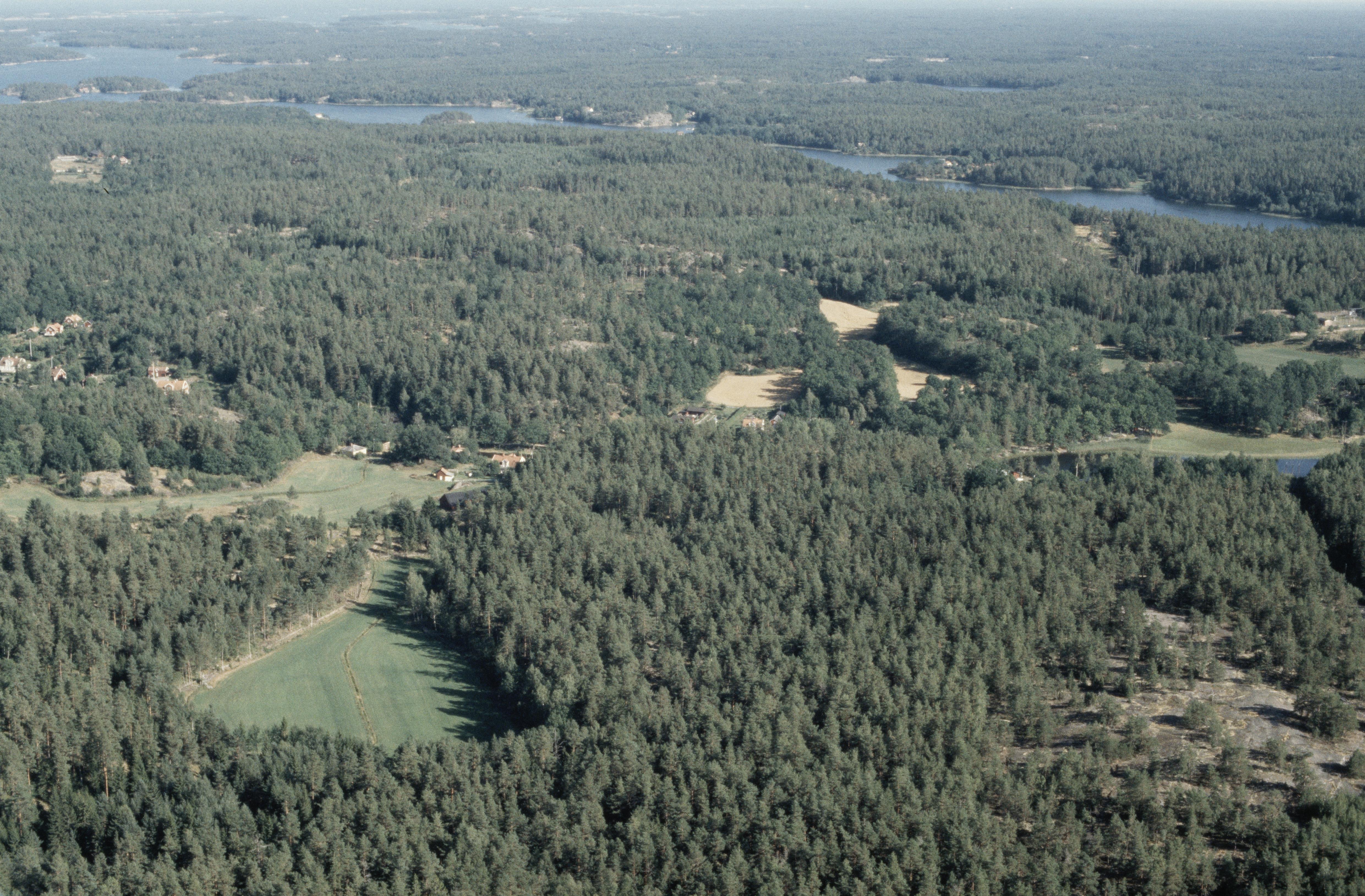 Jan Norrman, Strömgården