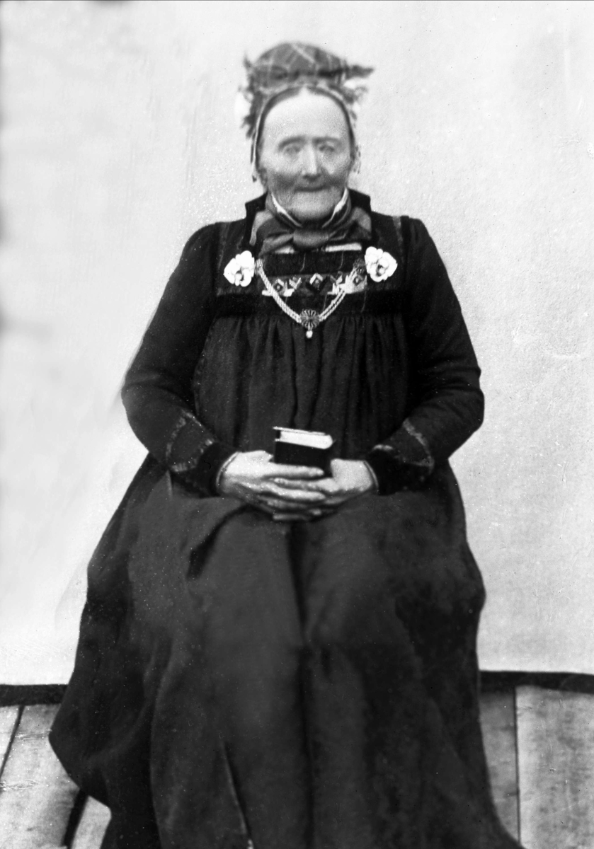 Gustav Borgen, Avfotografering.