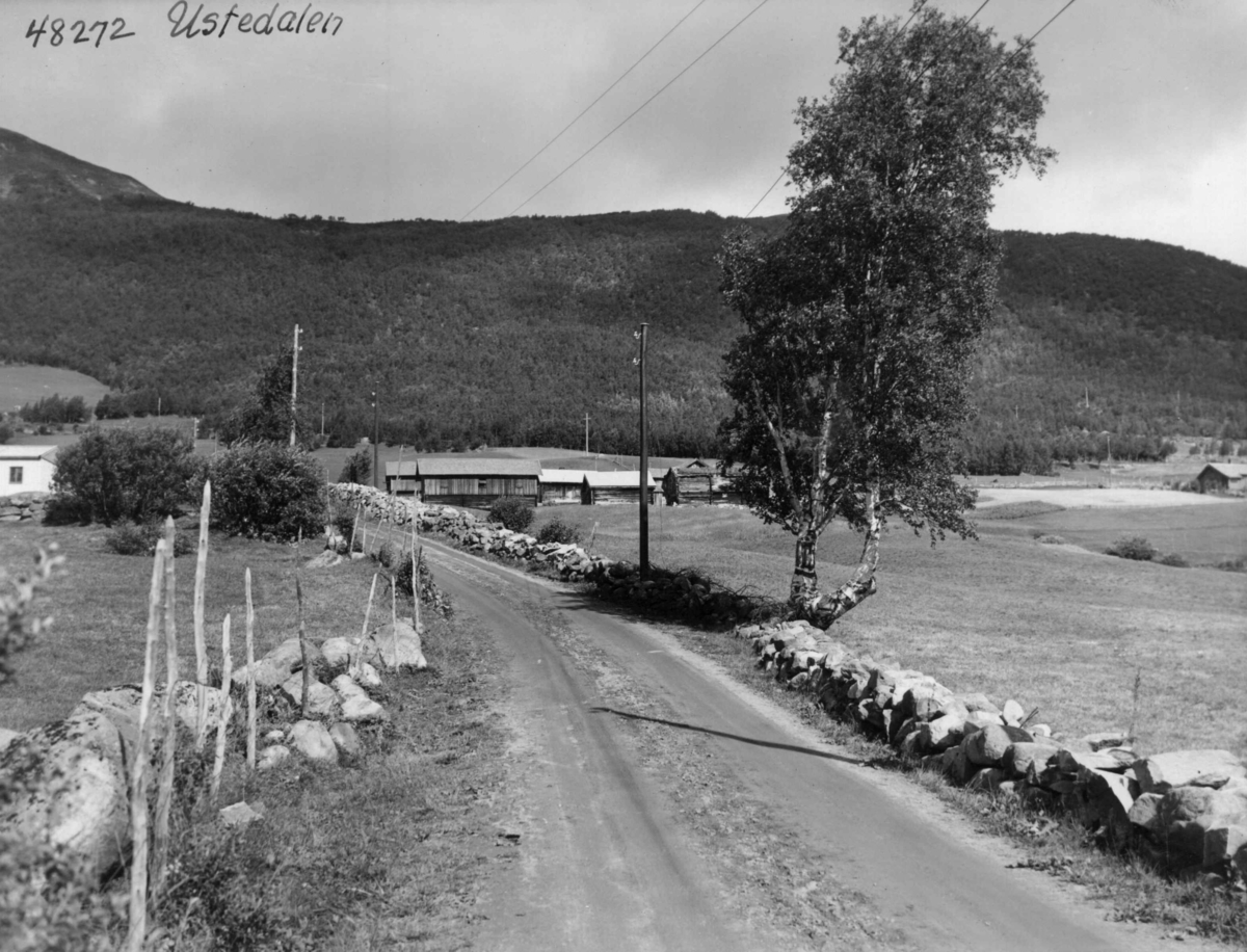 Anders Beer Wilse, Ustedalen, Samferdsel, Vei