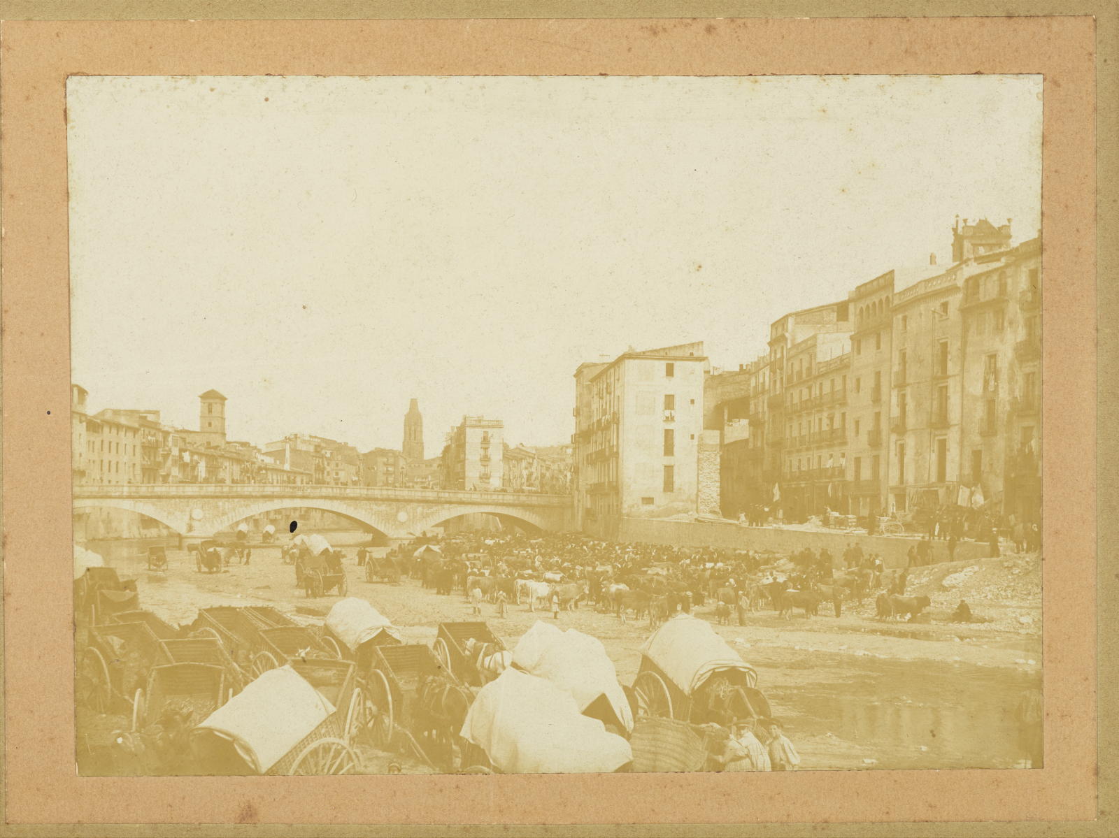 Josep Martí Burch, [Areny Market]
