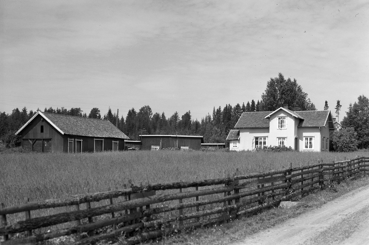 Anno Domkirkeodden, EKSTR: GARDSTUN, SLETTVOLD. Se Løtenboka, bind 3. Bygdeboka fra 1955, side 52
