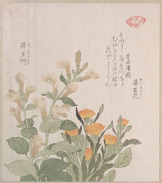 Kubo Shunman, The Common Marigold and The Rajoman Flowers