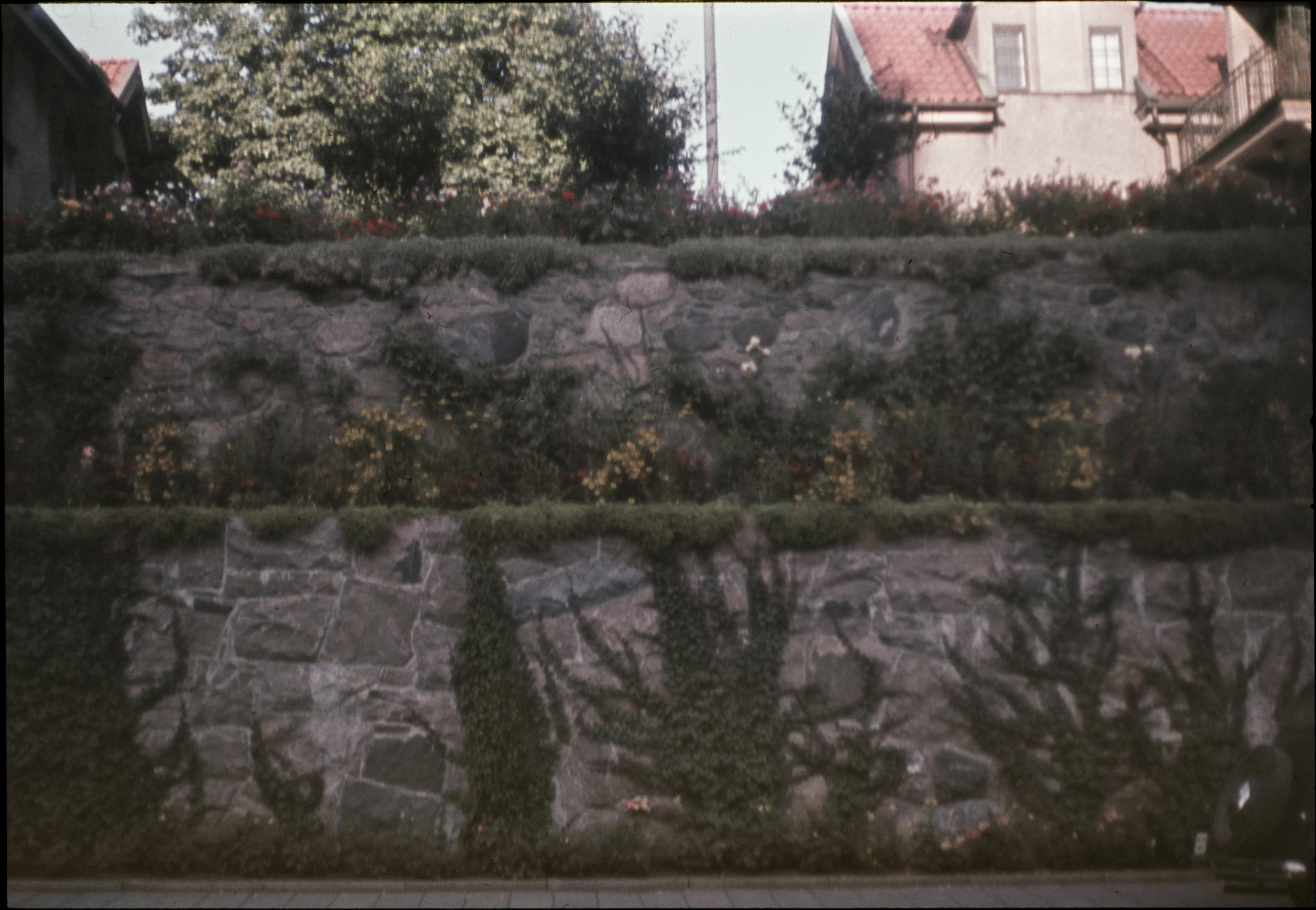 Fredrik Bruno, Borås