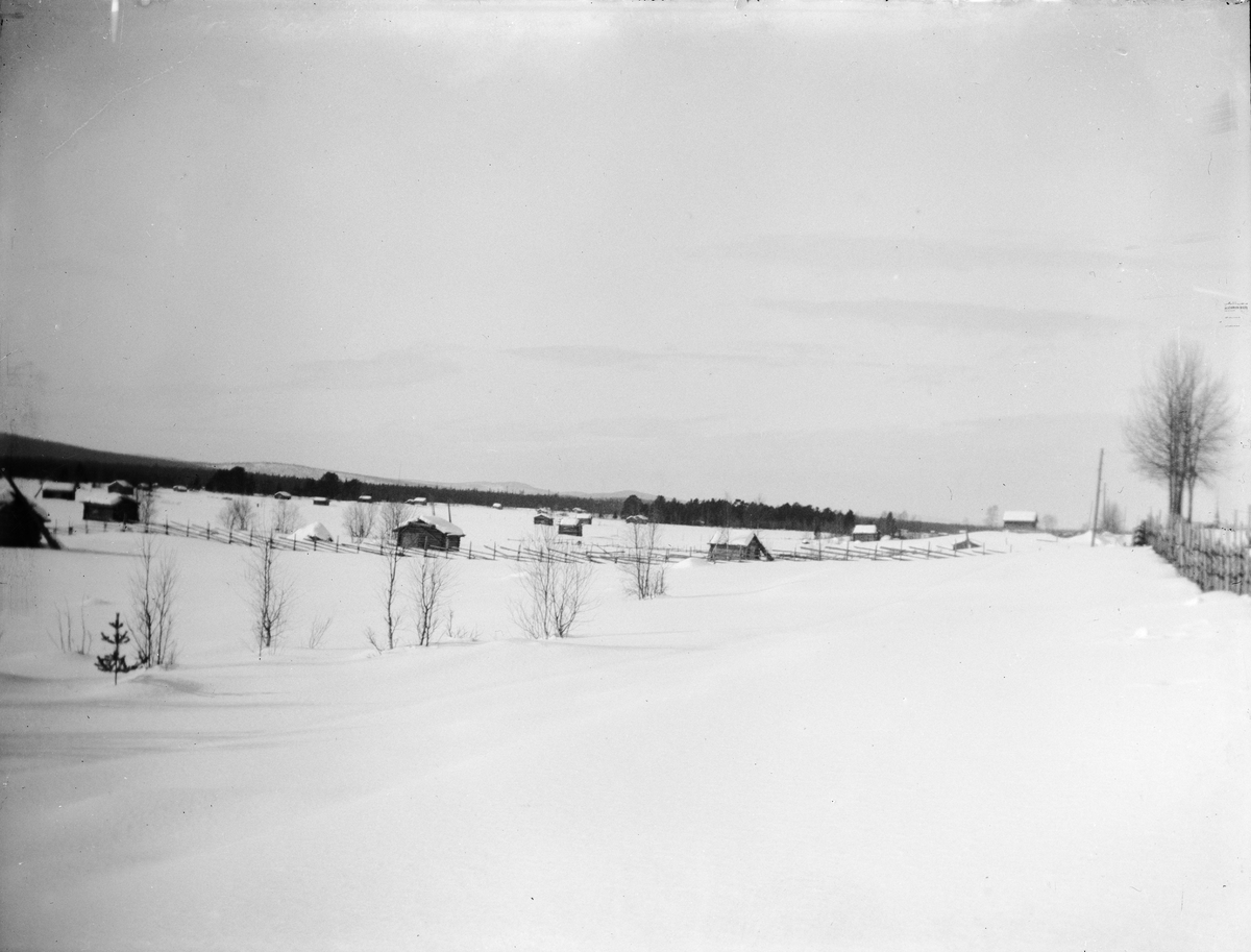 Carl Liljefors, Vy över vinterlandskap, Sverige