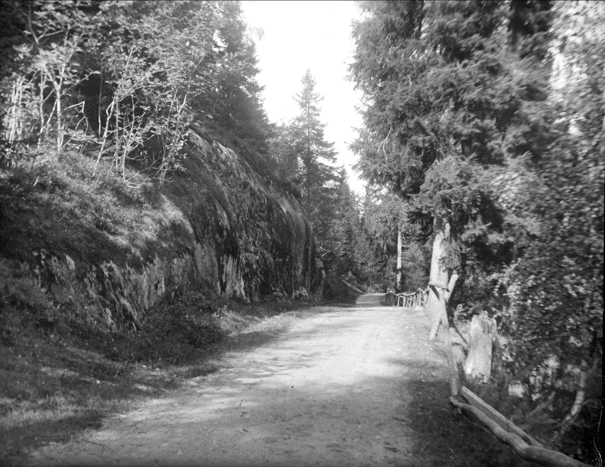 August Fredrik Schagerström, Väg omgiven av stenblock och skog i Skällnora, Fresta socken, Uppland i september 1925
