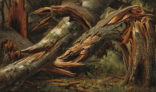 Alexandre Calame, Fallen Tree