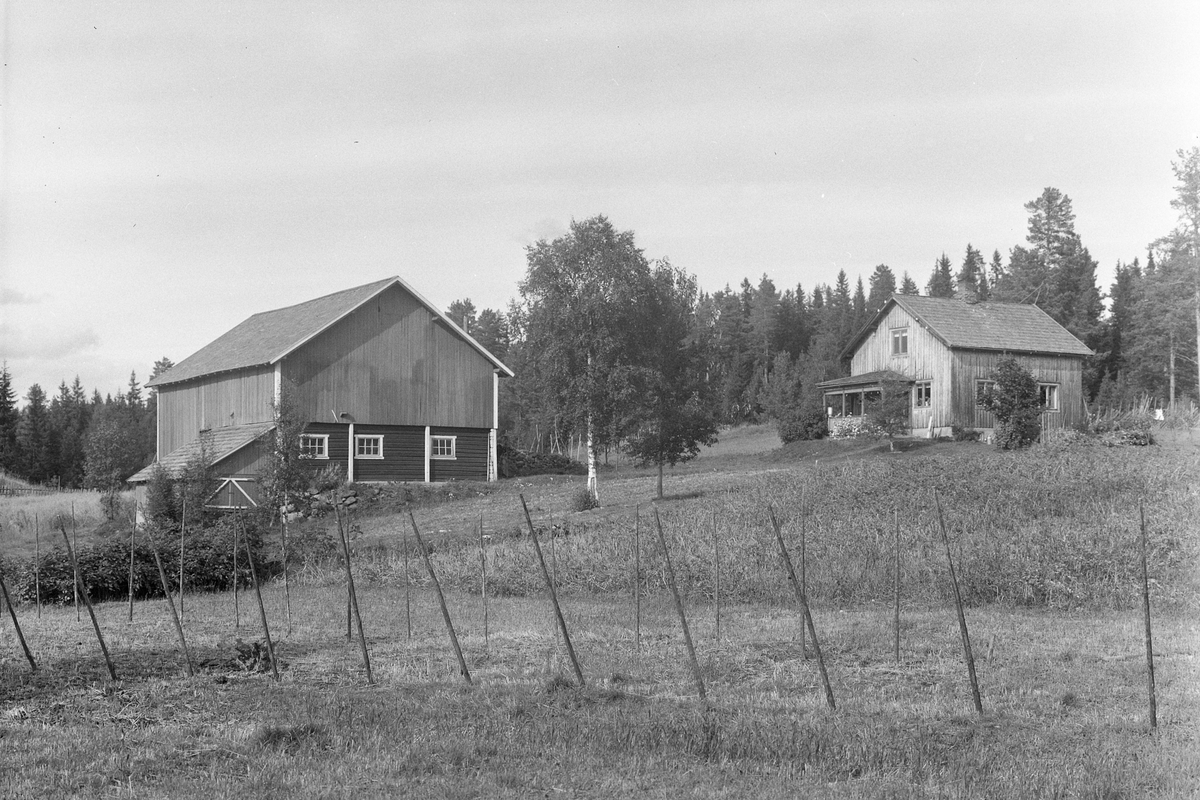 Anno Domkirkeodden, EKSTR: GARDSTUN, ELSTAD, LØTEN. Se Løtenbok nr. 3 fra 1955 side 827
