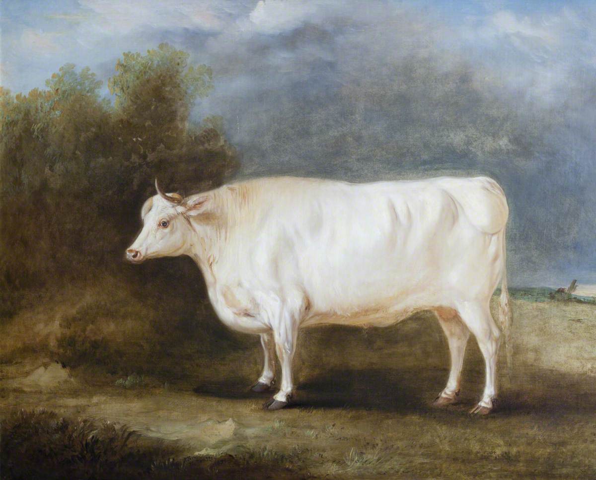 John Ferneley, A Prize Ox in a Landscape