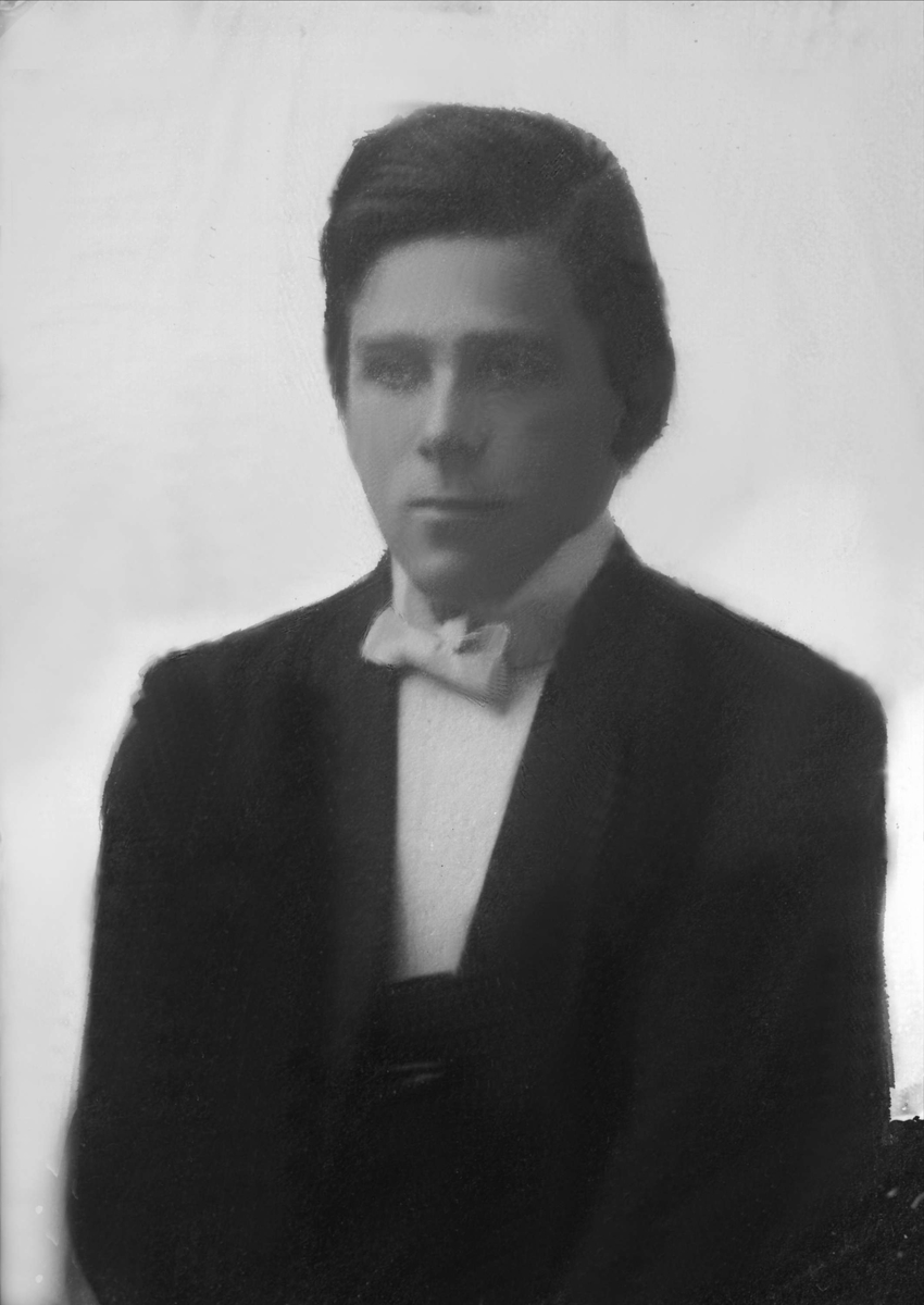 Gustav Borgen, Avfotografering.