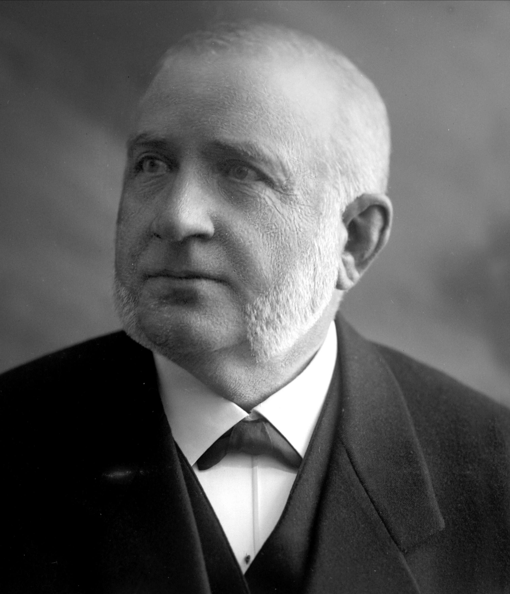 Gustav Borgen, Portrett, kjøpmann Iver Welo.
