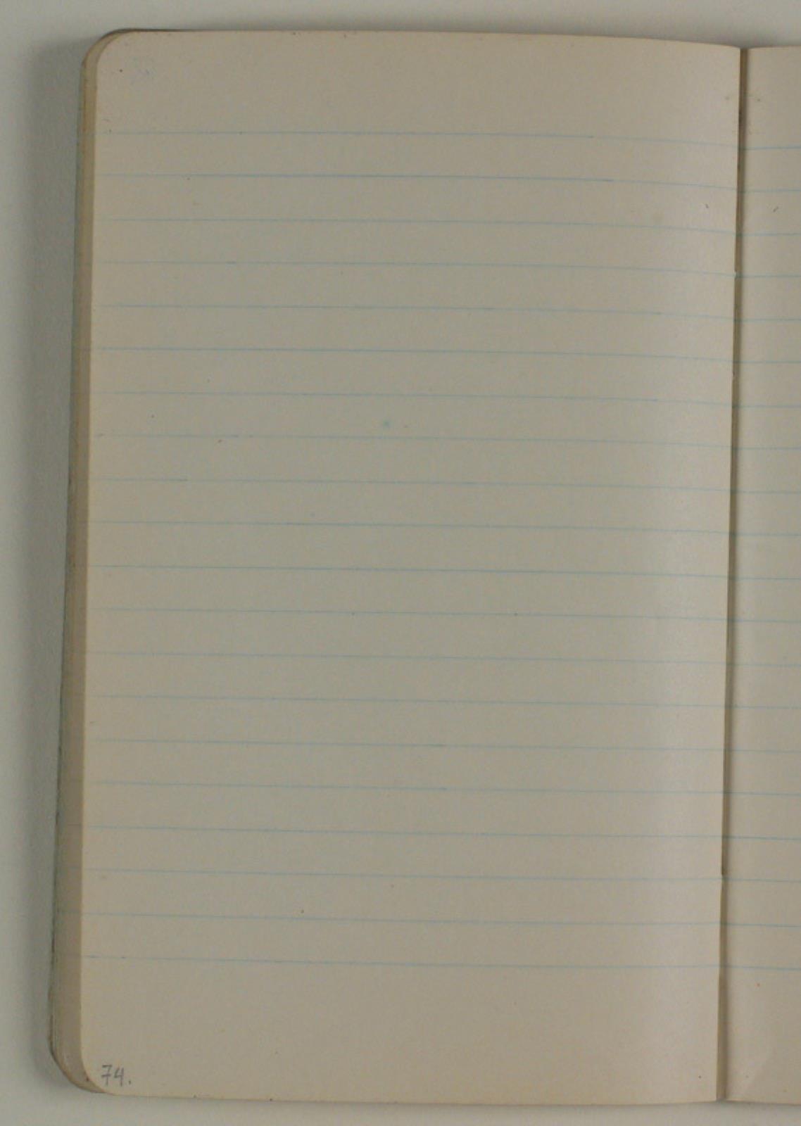 Niels Larsen Stevns, Blank