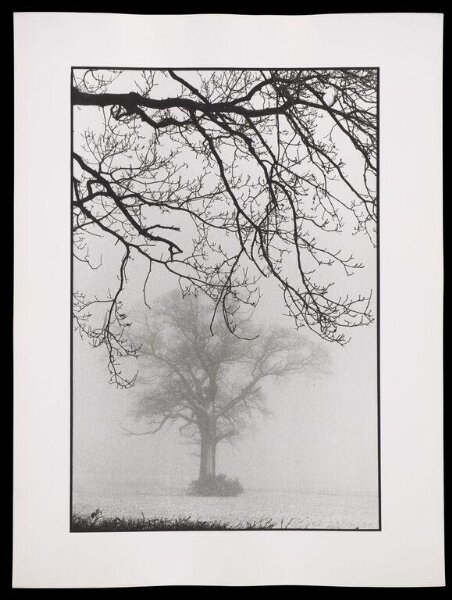 Hardy, Bert, Snow