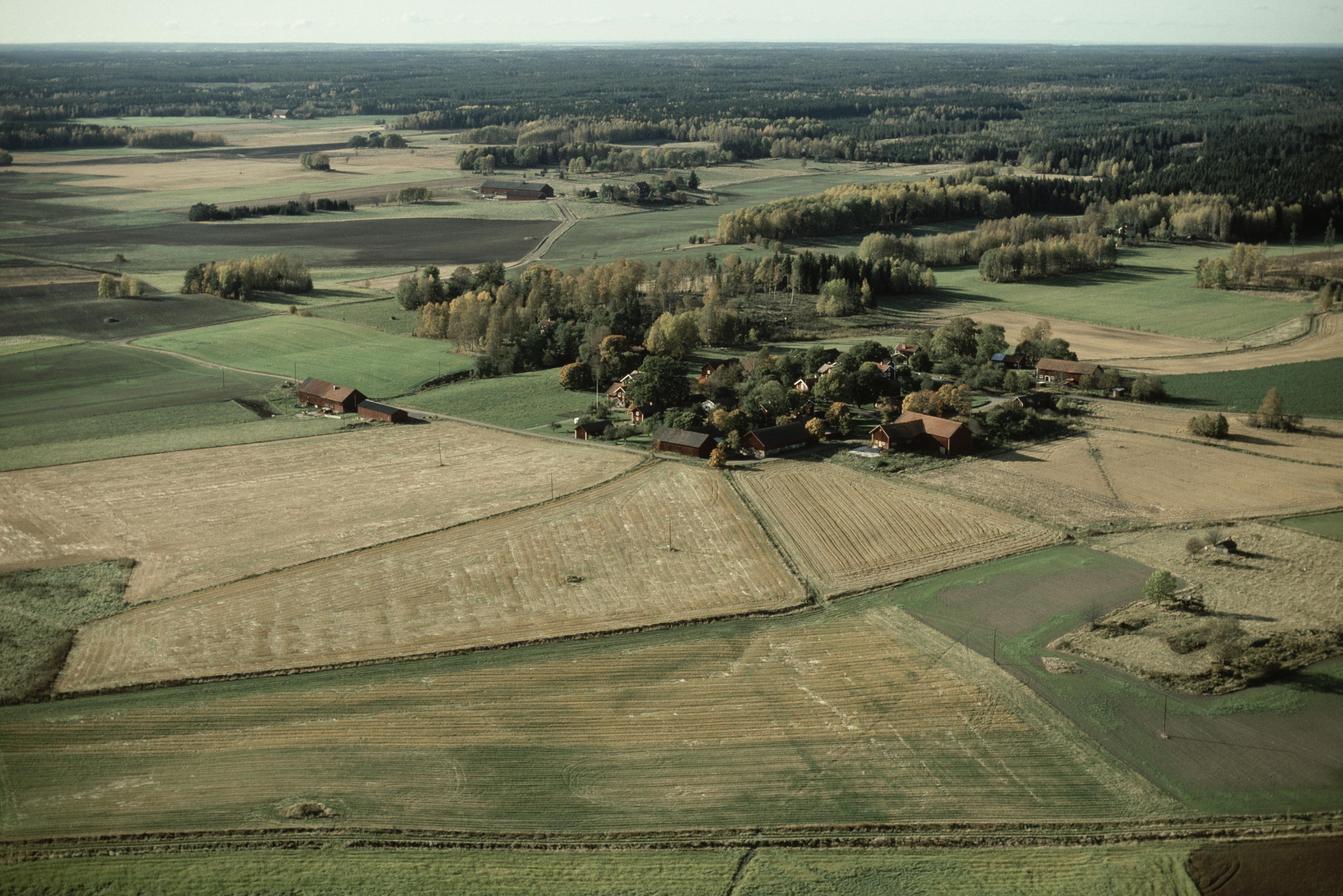 Jan Norrman, Floda 187:1