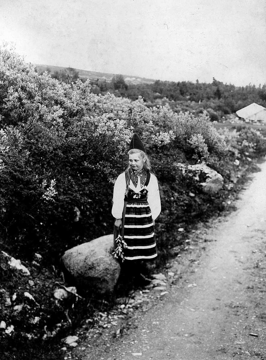 Robert Collett, Pike i veikant, ukjent sted, i drakt fra Rättvik, Dalarne, Sverige. Serie tatt av Robert Collett (1842-1913), amatørfotograf og professor i zoologi.