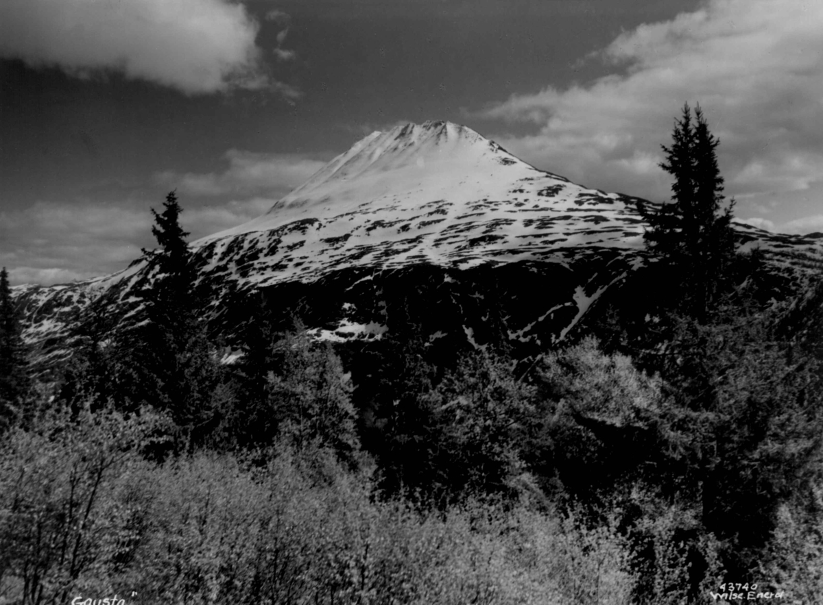 Anders Beer Wilse, Gaustatoppen med skog i forgrunnen. Snødekt fjelltopp.