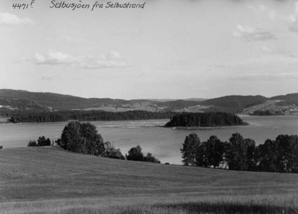 Anders Beer Wilse, -6272