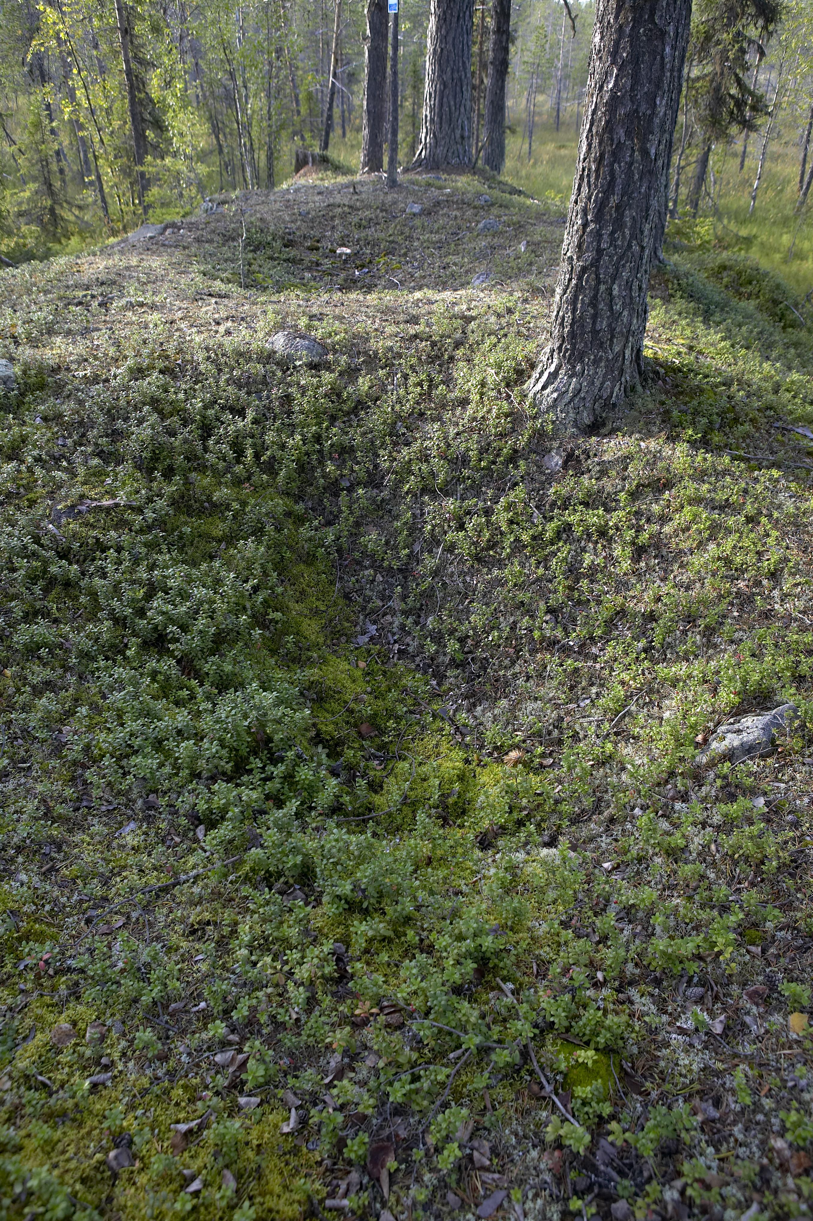Bengt A Lundberg, Kaltisbäcken