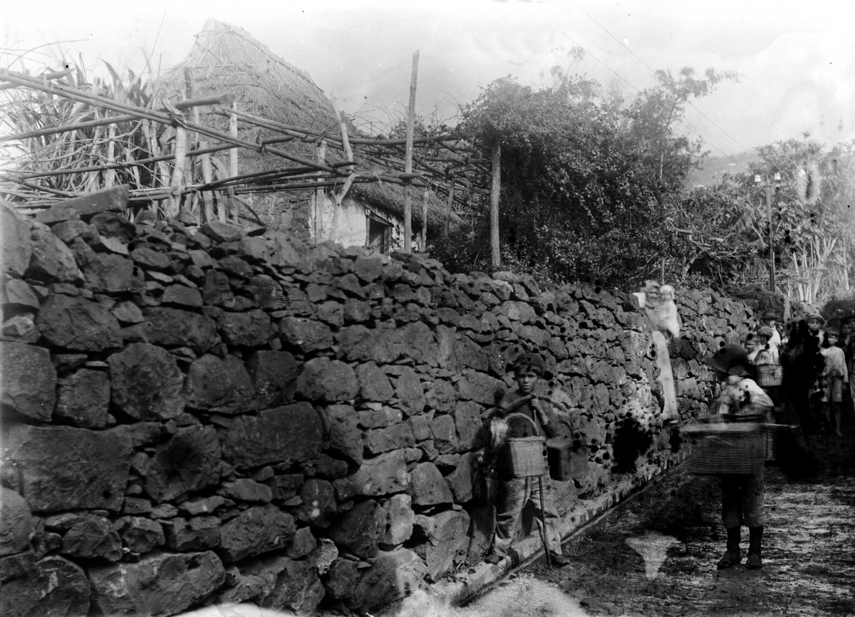 Juliane Fredrikke Langberg, Fra Madeira (ant.), barn som bærer ulike kurvtyper, ved steinmur. Serie ant. fra reise tilbake dit fotografen var med sin mor som barn (1862-63) og hvor moren døde 1863. Fra malerinne Juliane Fredrikke Langbergs samling, tatt 1895-1910 med motivkrets slekt og venner samt steder tilknyttet samvær me…