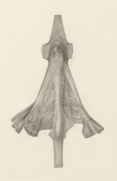 H.G Wetselaar, Muscular tissue of a lizards upper extremities