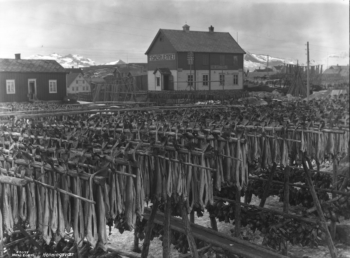 Anders Beer Wilse, Prot: Lofoten, Henningsvær