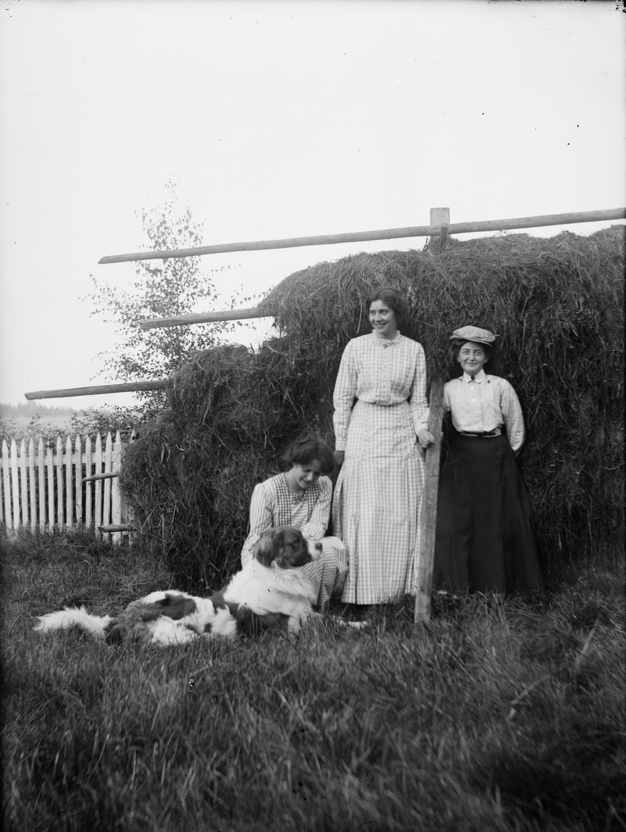 Josef Ärnström, Tre kvinnor och en hund framför höhässjor