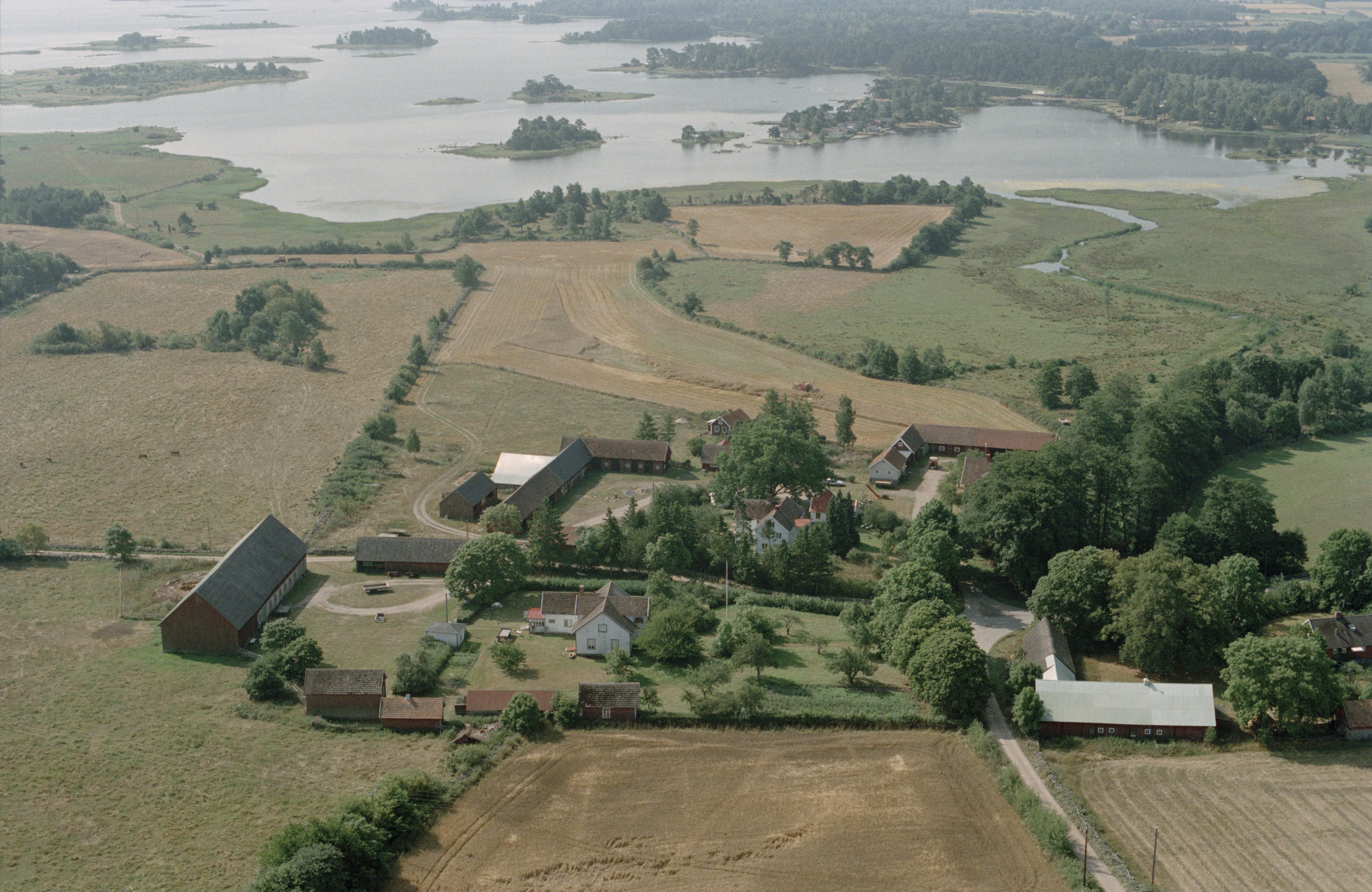 Jan Norrman, Grisbäck