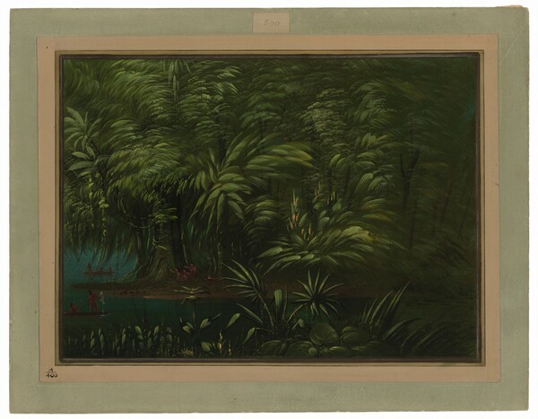 George Catlin, Luxuriant Forest on the Bank of the Amazon