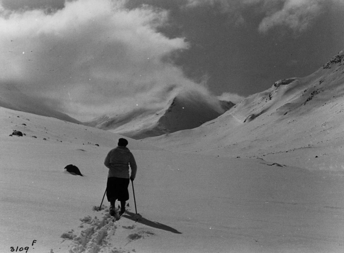 Anders Beer Wilse, Skiløper ved Uladalstind i Jotunheimen.J