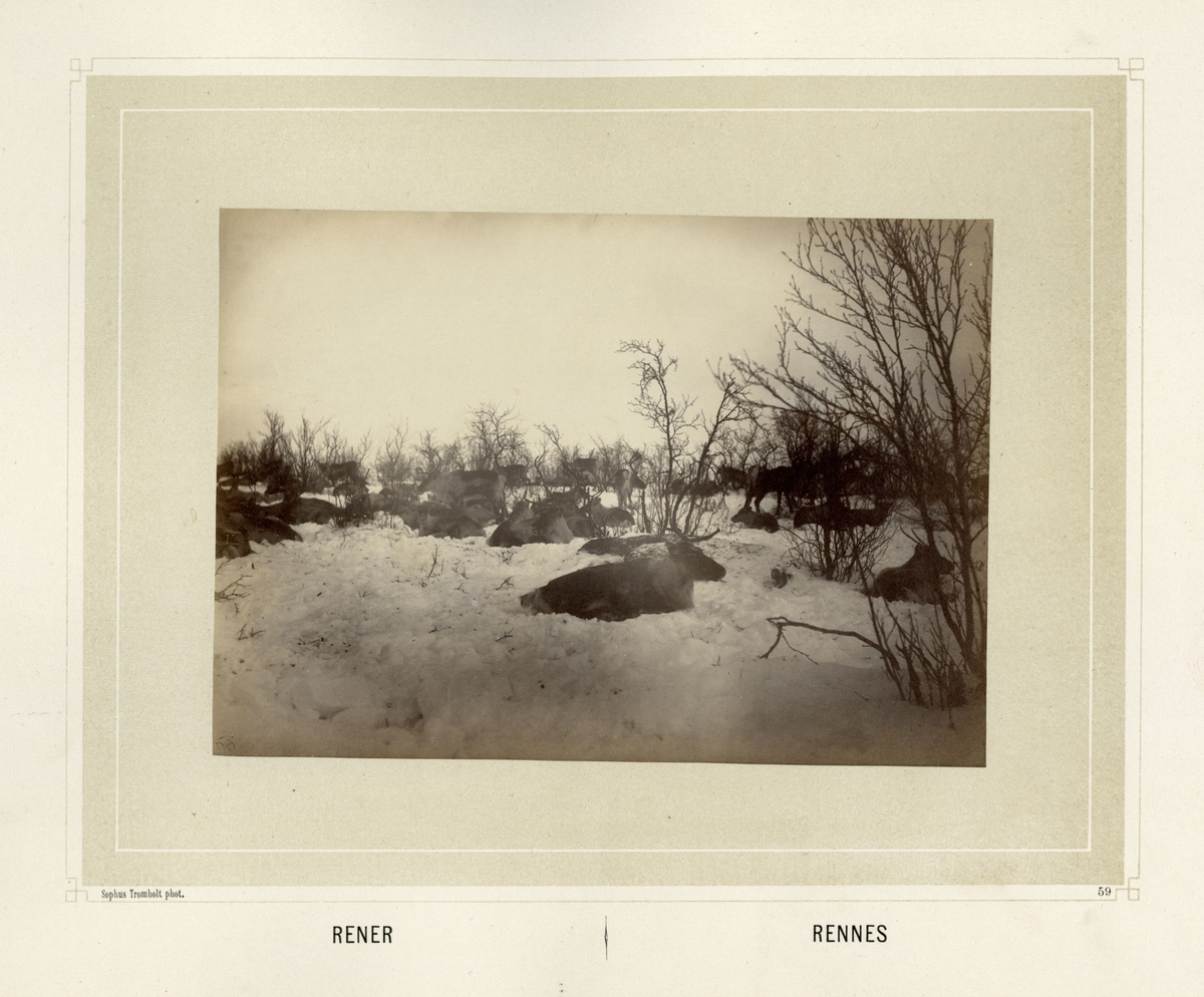 Sophus Tromholt, Billeder fra Lappernes Land/Tableaux du Pays des Lapons