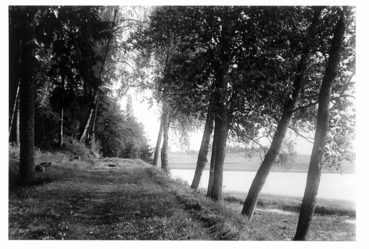 Hermann Christian Neupert, Fra Bogstad ca. 1923. Parken. Vei langs Bogstadvannet.