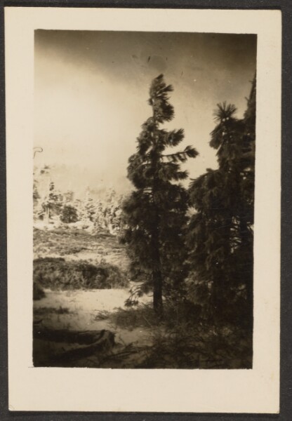 Louis Fleckenstein, [Landscape]