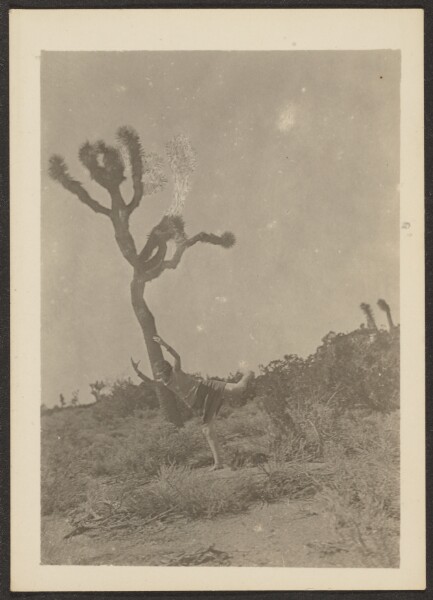Louis Fleckenstein, [Dancer and Joshua Tree]