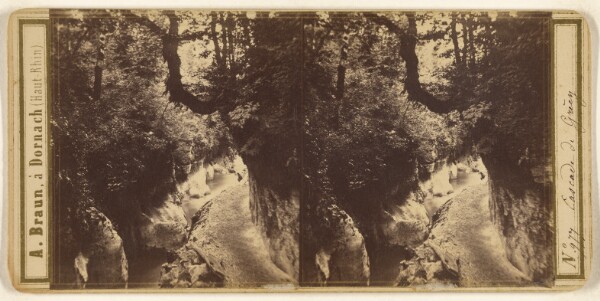 Adolphe Braun, Cascade de Grecy