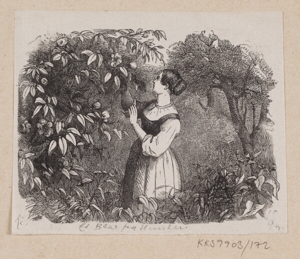 H.P. Hansen, Illustration til "Et Blad fra Himlen" i H.C. Andersen, "Eventyr og Historier", Bind 2