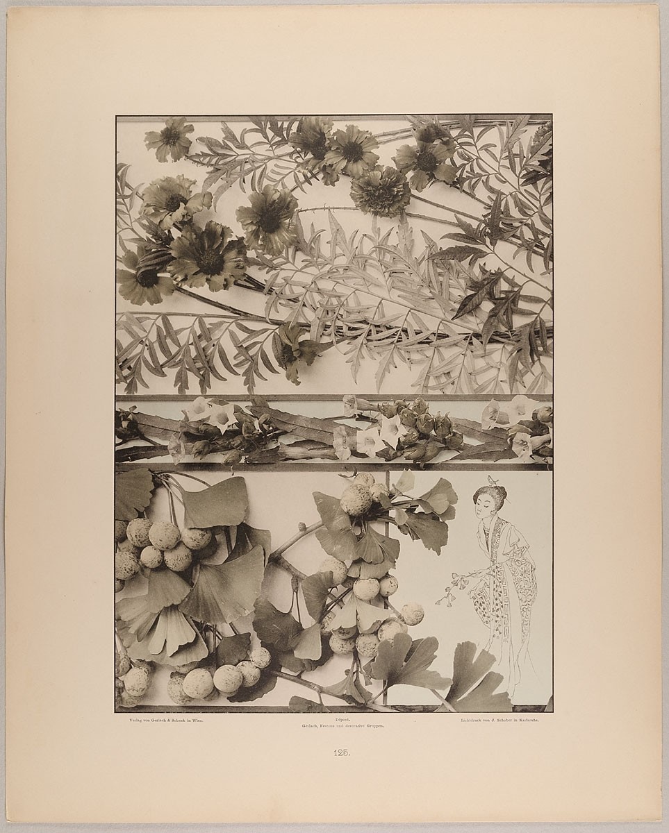 Martin Gerlach, 125. Füllungen und Borte aus Studentenblume, Sumachbaum, Tabak, Gingko mit Japanesin