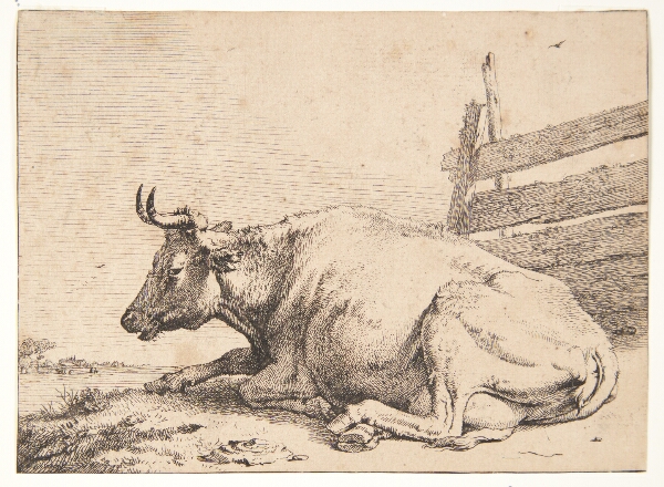 Paulus Potter, Ko liggende ved et hegn