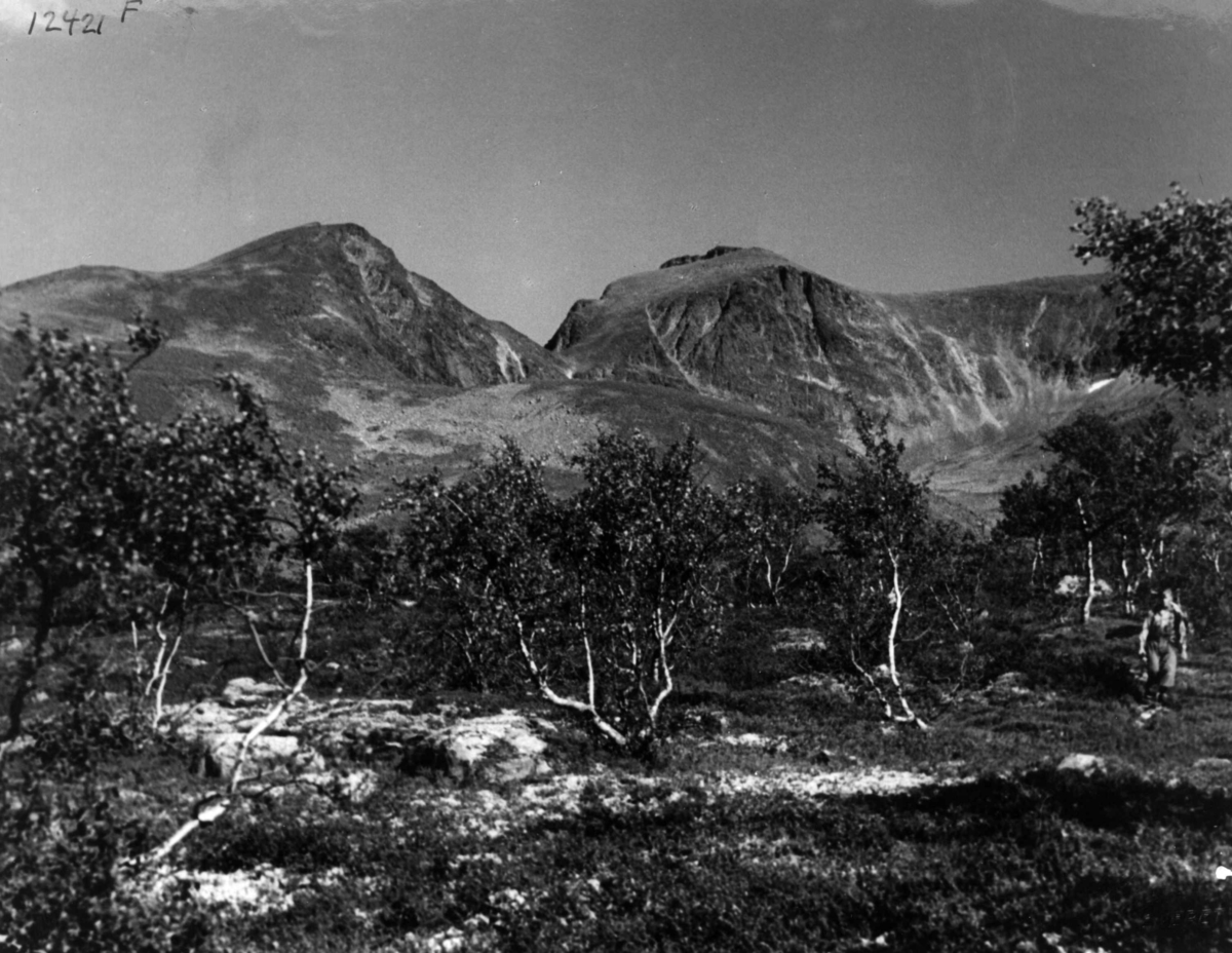 Anders Beer Wilse, Sølen, Landskap