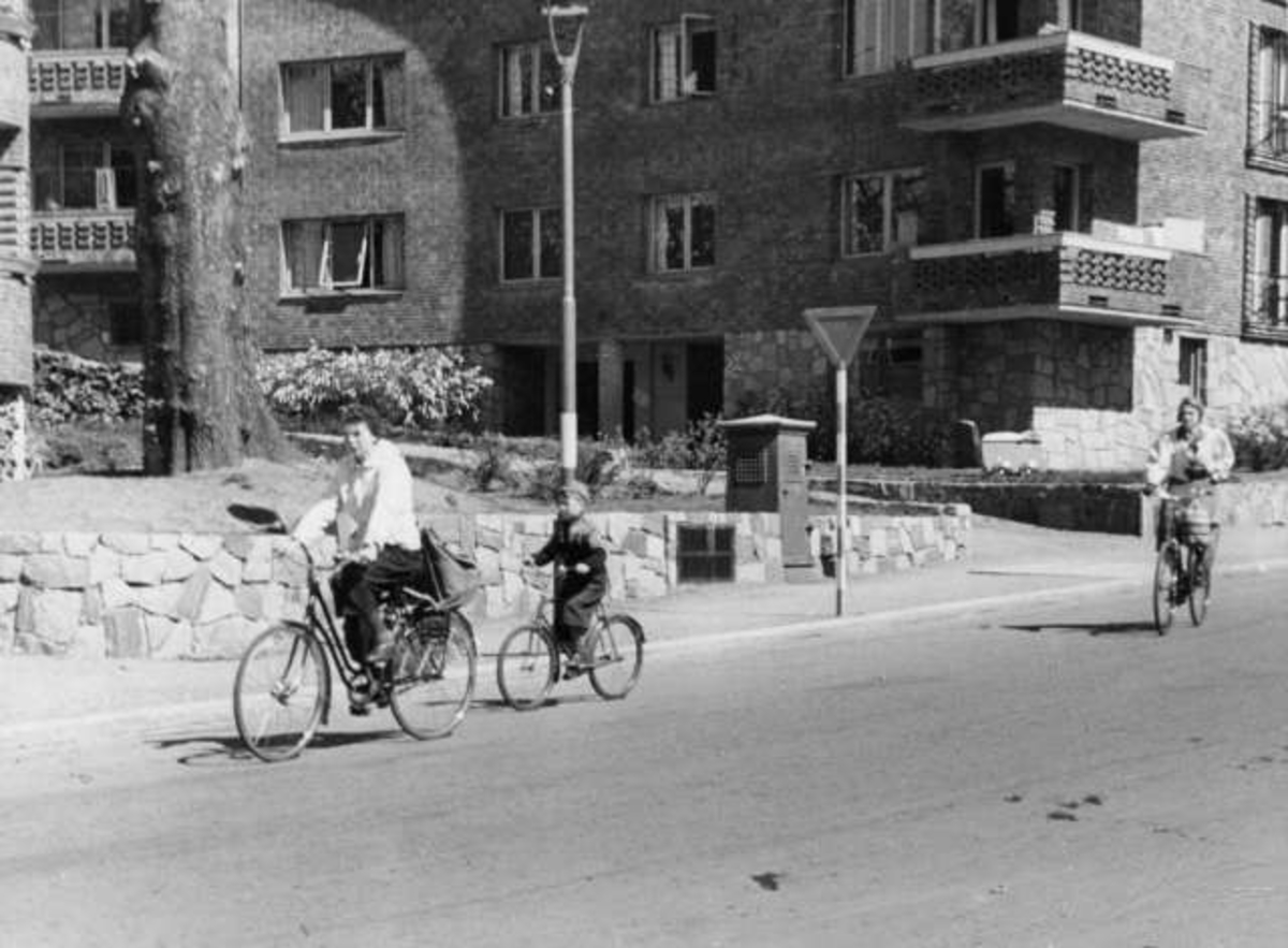 Anders Beer Wilse, -6266