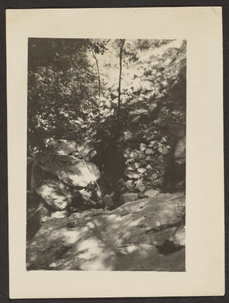 Louis Fleckenstein, [Woodsy Landscape]