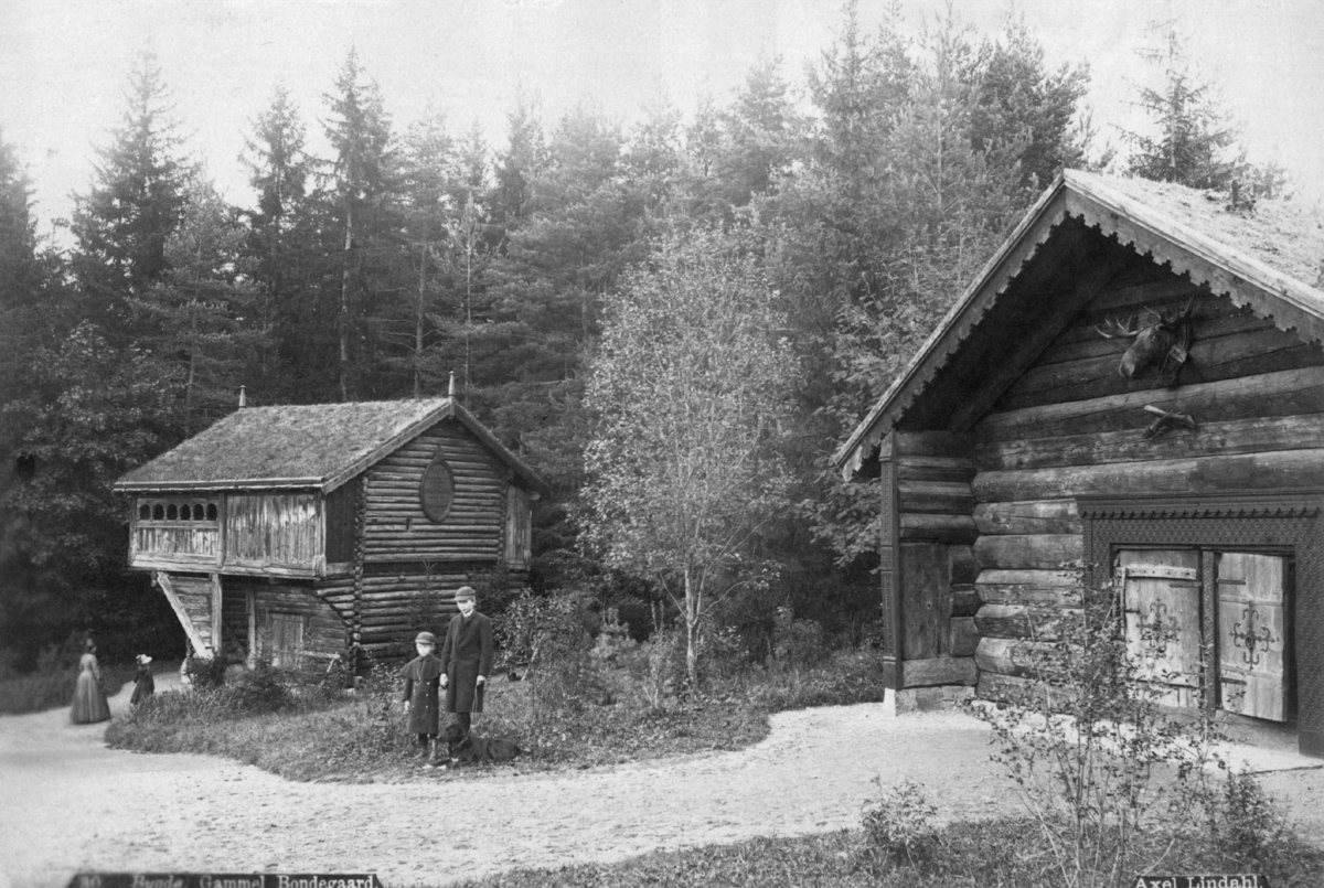 Axel Lindahl, Rolstadloftet fra Sør-Fron og stue Kjelleberg, Valle, Setesdal. Fra Oscar IIs samlinger, nå Norsk Folkemuseum.