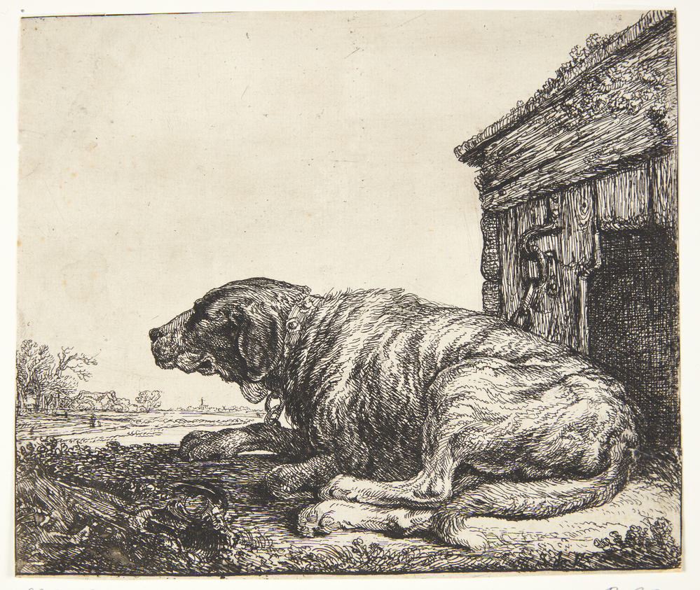Simon de Vlieger, Lænkehund