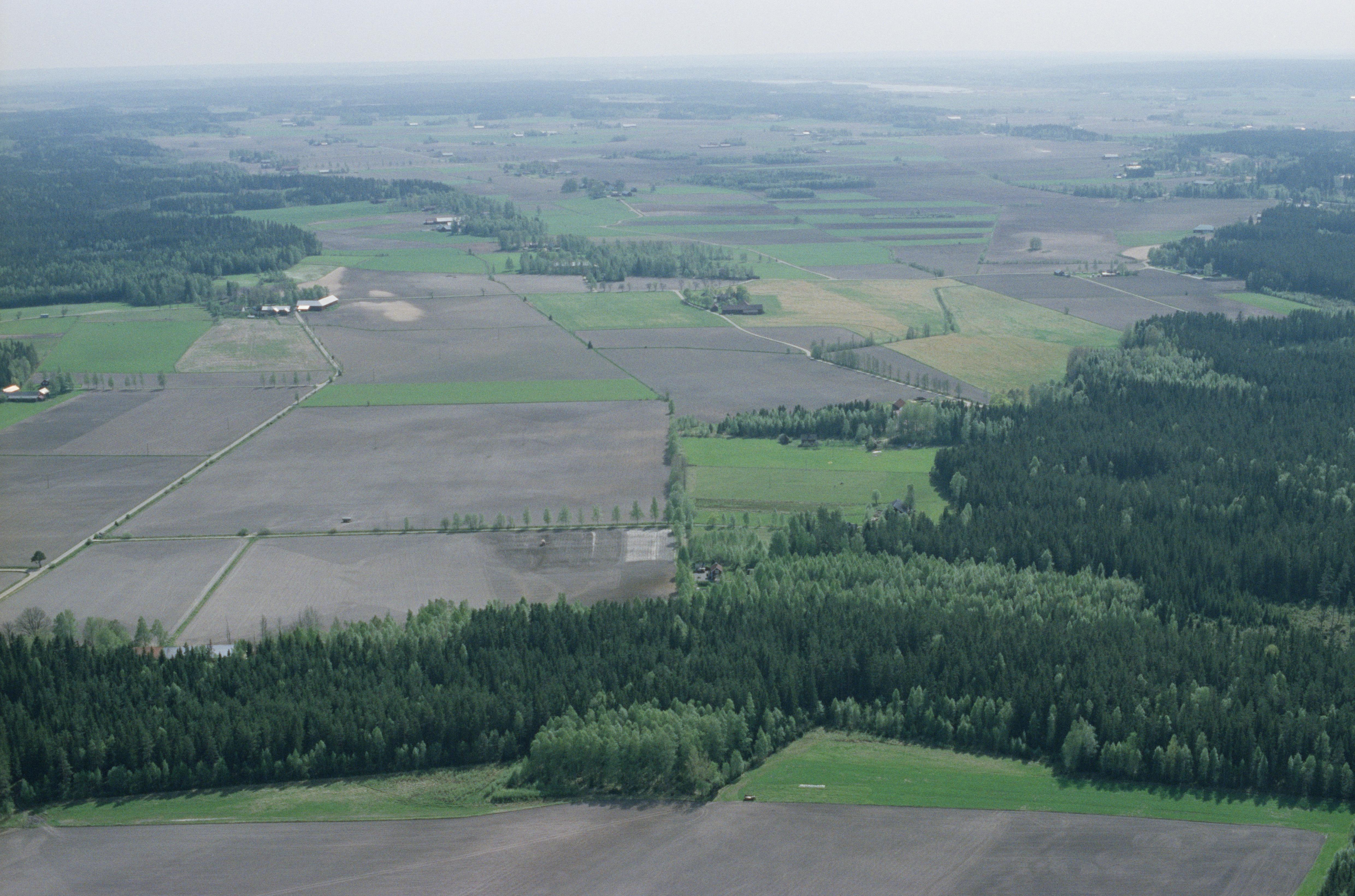 Jan Norrman, Kil 331