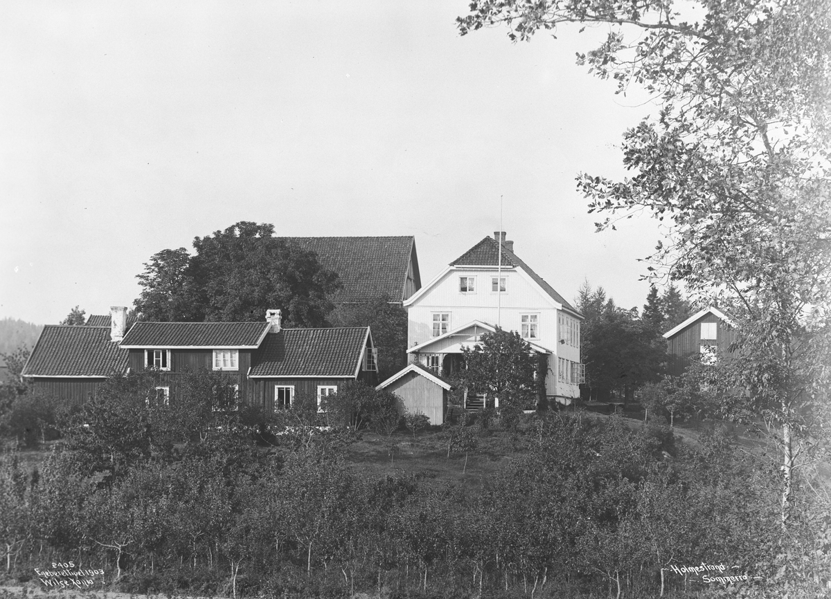 Anders Beer Wilse, Prot: Holmestrand - Sommerro 4. Oct. 1903