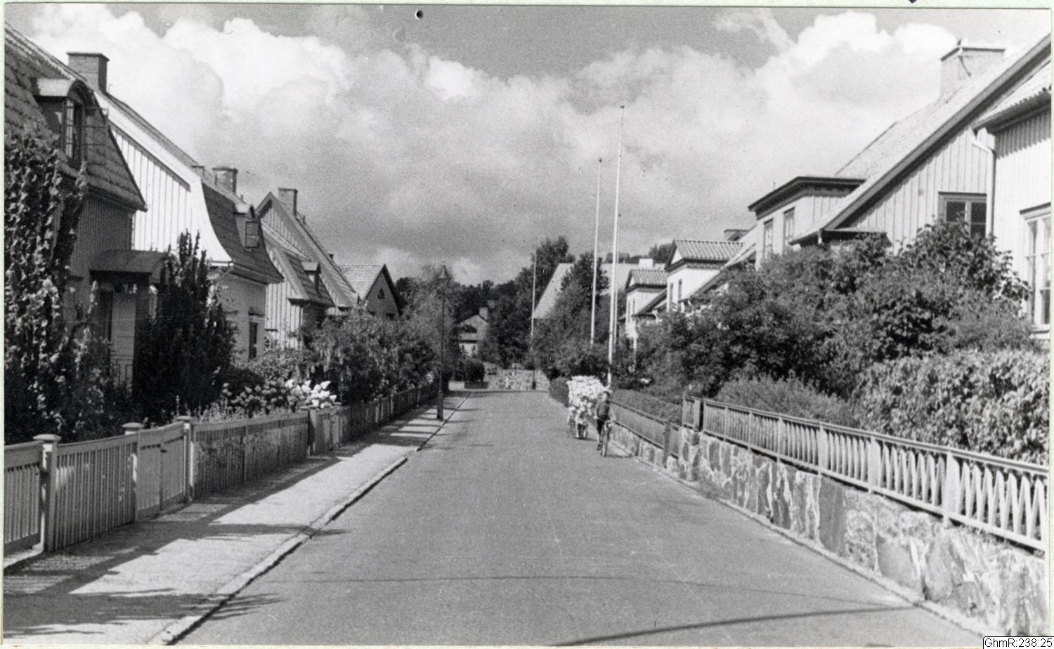 Otto Thulin, fotografi, bilder