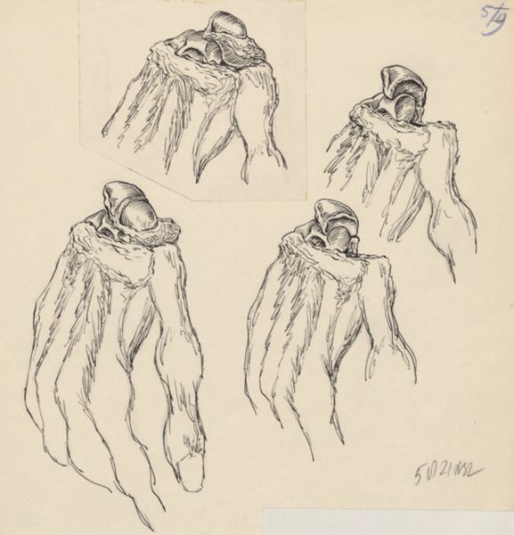 J Tinkelenberg, Musculoskeletal system of the hand and wrist