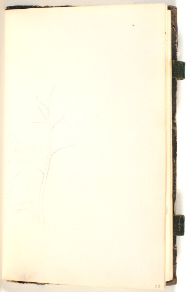 P.C. Skovgaard, En gren
