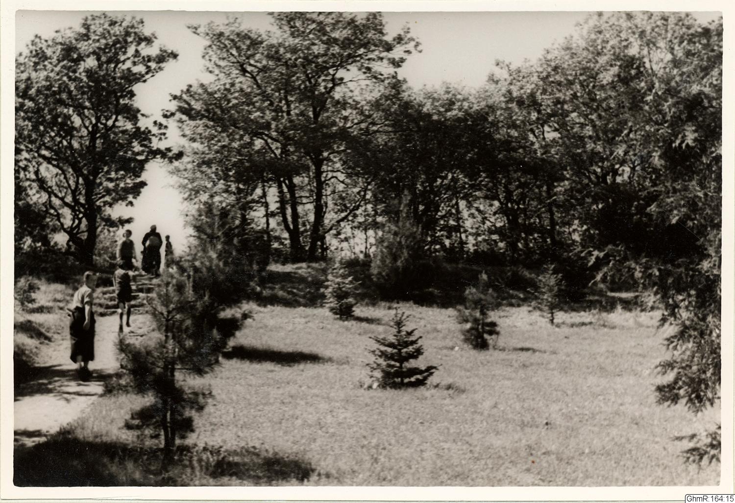 Otto Thulin, fotografi, bilder