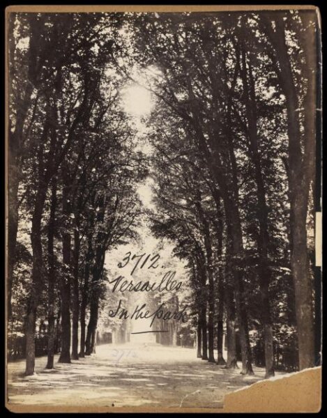 Francis Frith, Photograph
