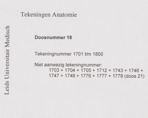 J Wetselaar-Whittaker, Human neck and shoulders